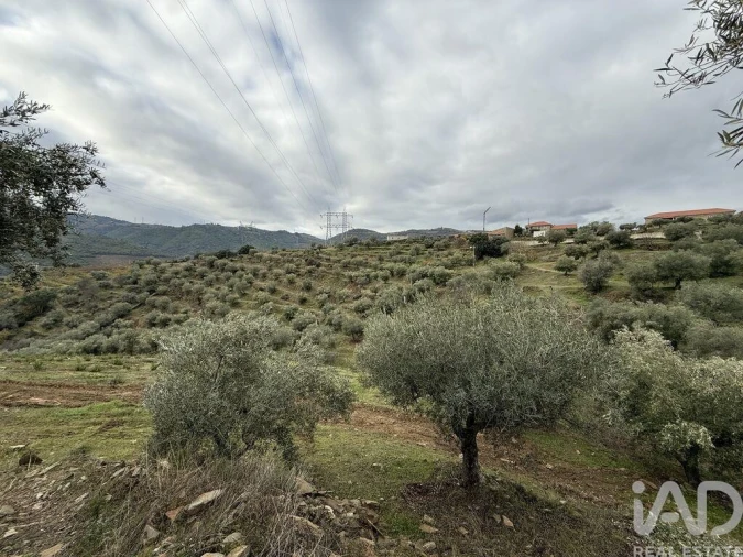 Quinta para Venda em Vila Seca e Santo Adrião Foto 18