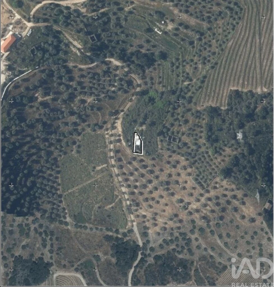 Quinta para Venda em Vila Seca e Santo Adrião Foto 22