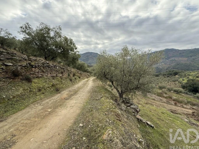 Quinta para Venda em Vila Seca e Santo Adrião Foto 10