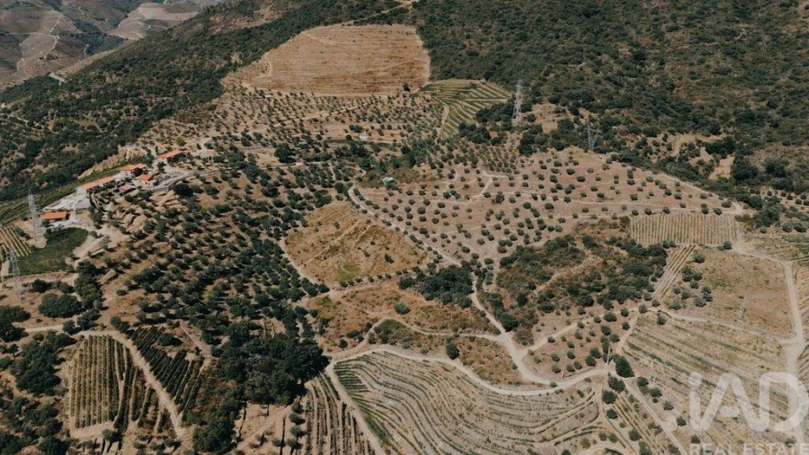 Quinta para Venda em Vila Seca e Santo Adrião Foto 6