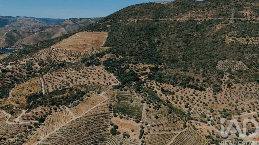 Quinta para Venda em Vila Seca e Santo Adrião Foto 10