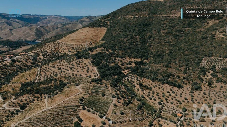 Quinta para Venda em Vila Seca e Santo Adrião Foto 17