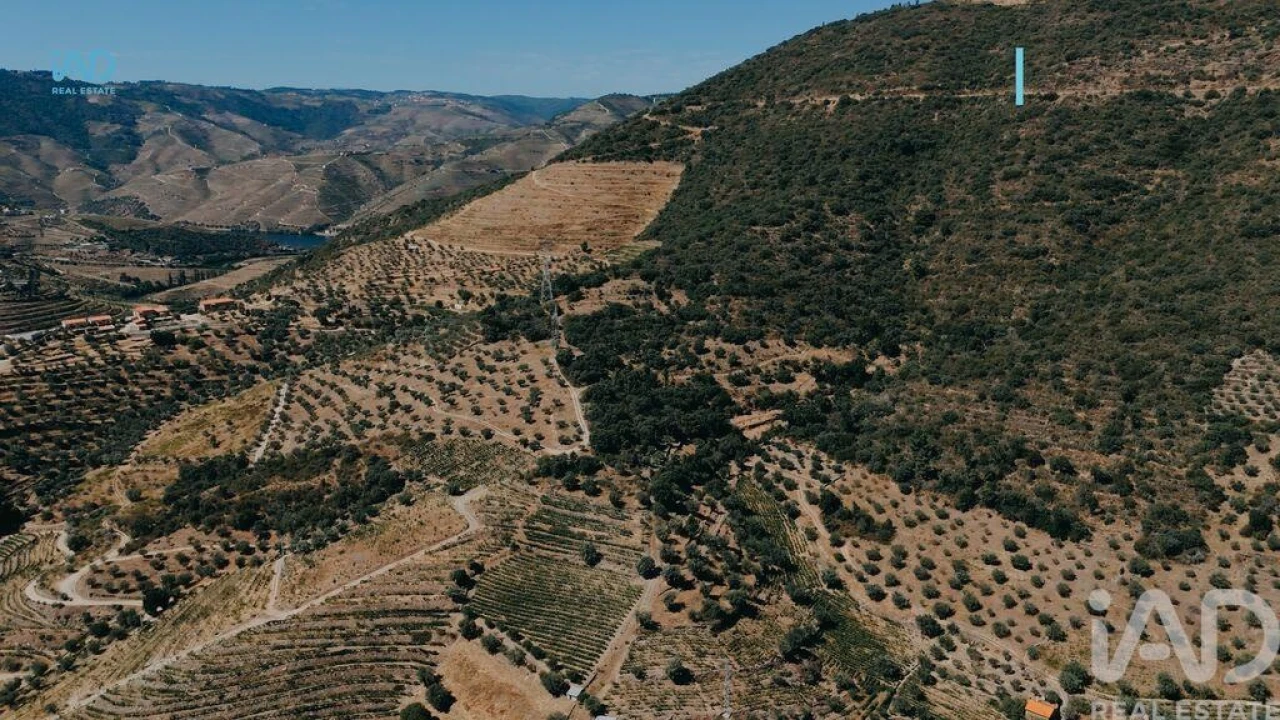 Quinta para Venda em Vila Seca e Santo Adrião Foto 11