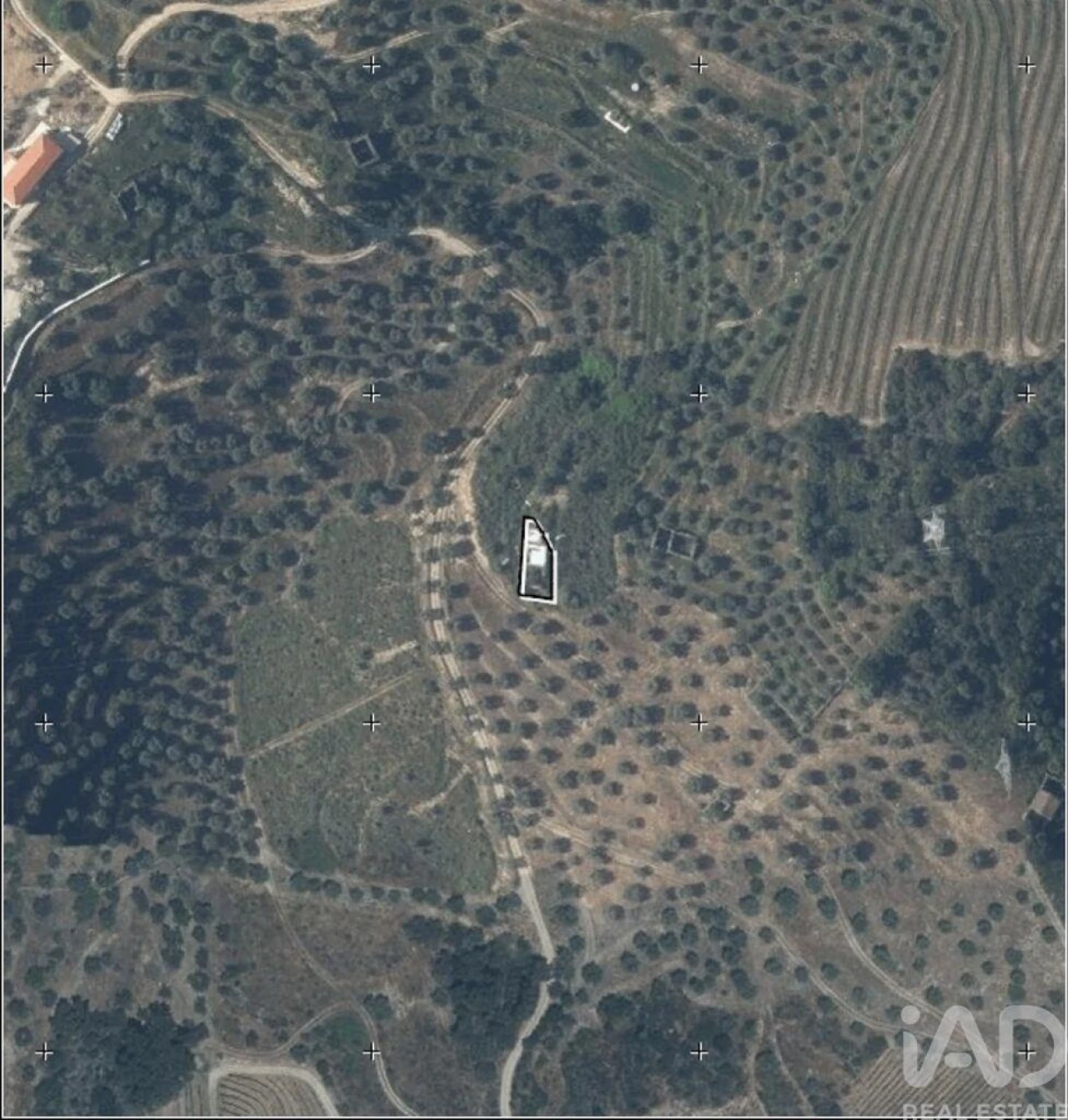 Quinta para Venda em Vila Seca e Santo Adrião Foto 22