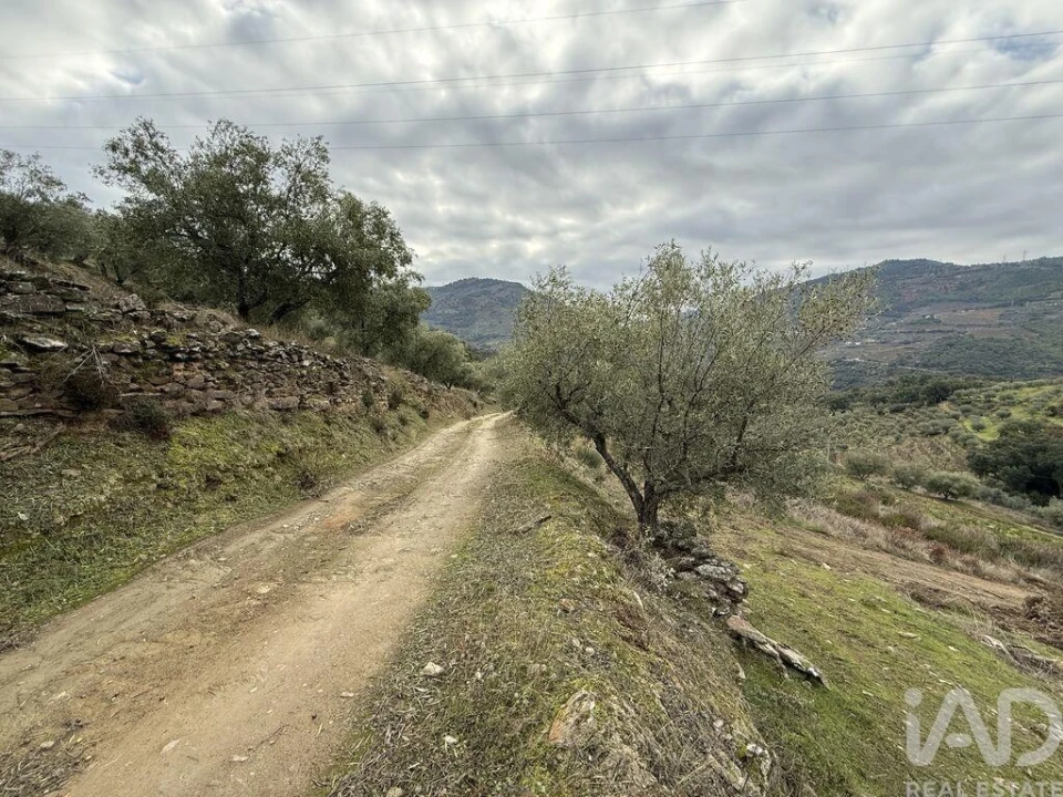 Quinta para Venda em Vila Seca e Santo Adrião Foto 10