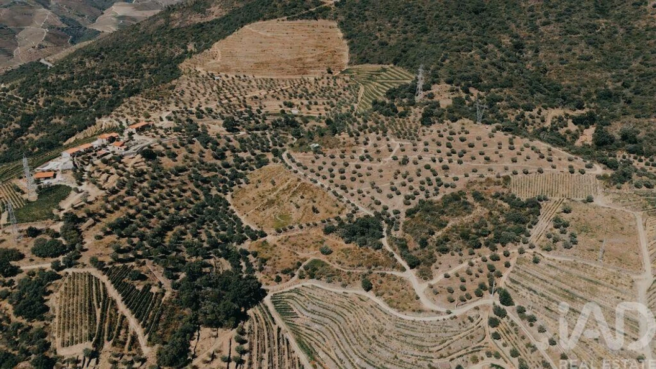 Quinta para Venda em Vila Seca e Santo Adrião Foto 6