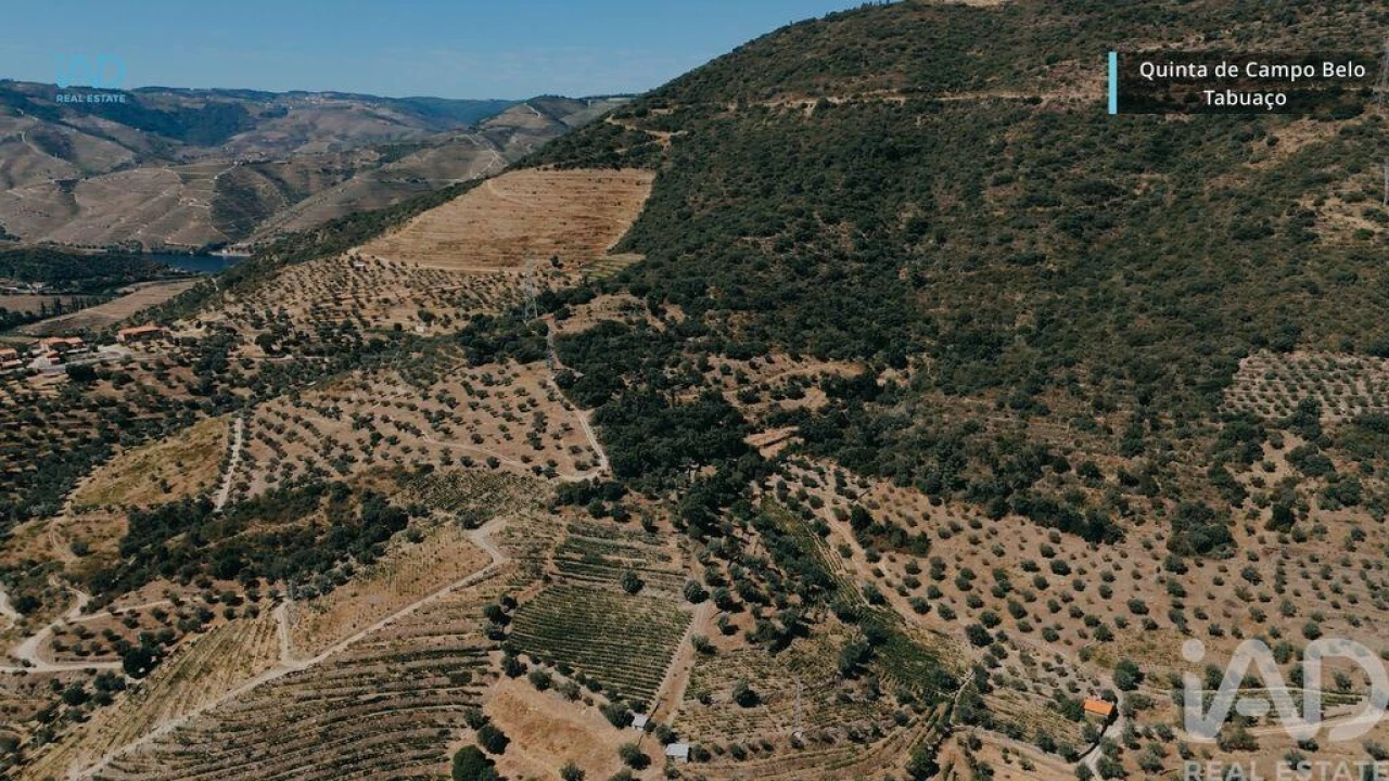 Quinta para Venda em Vila Seca e Santo Adrião Foto 17