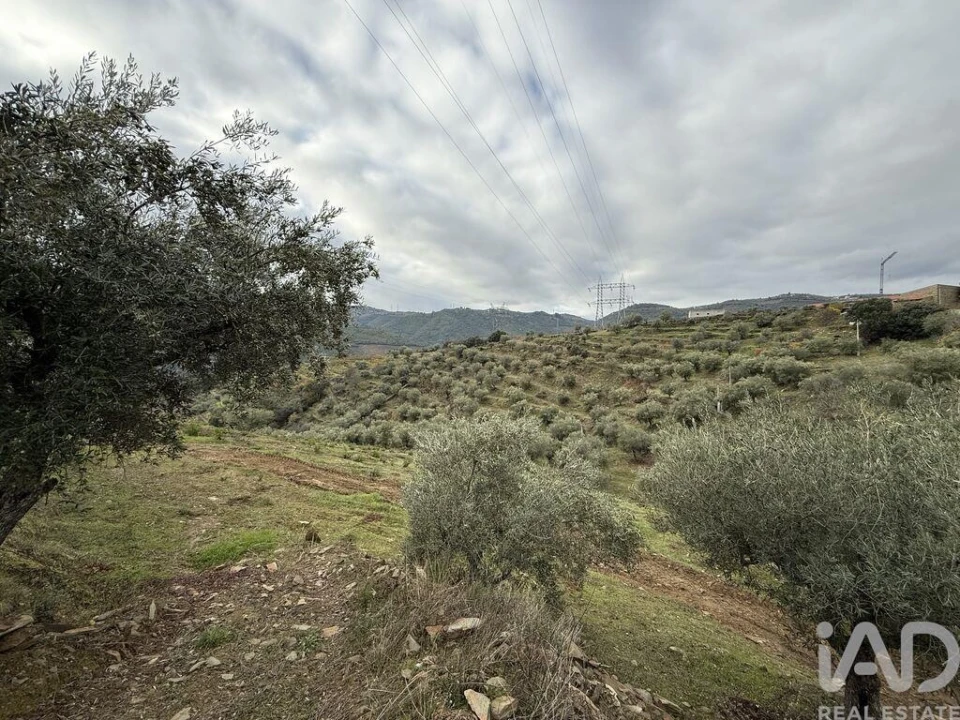 Quinta para Venda em Vila Seca e Santo Adrião Foto 17