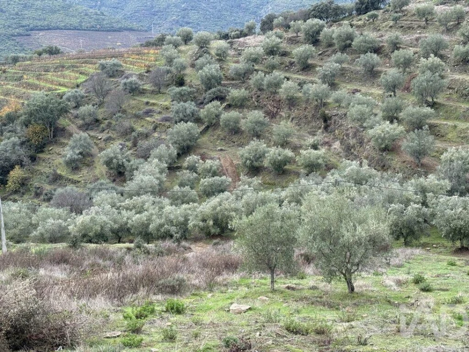 Quinta para Venda em Vila Seca e Santo Adrião Foto 6