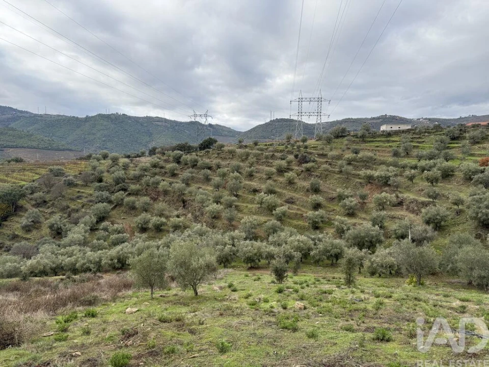 Quinta para Venda em Vila Seca e Santo Adrião Foto 8