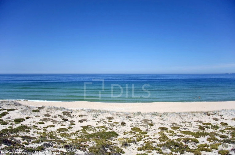 Moradia T4 para Venda em Comporta Foto 23