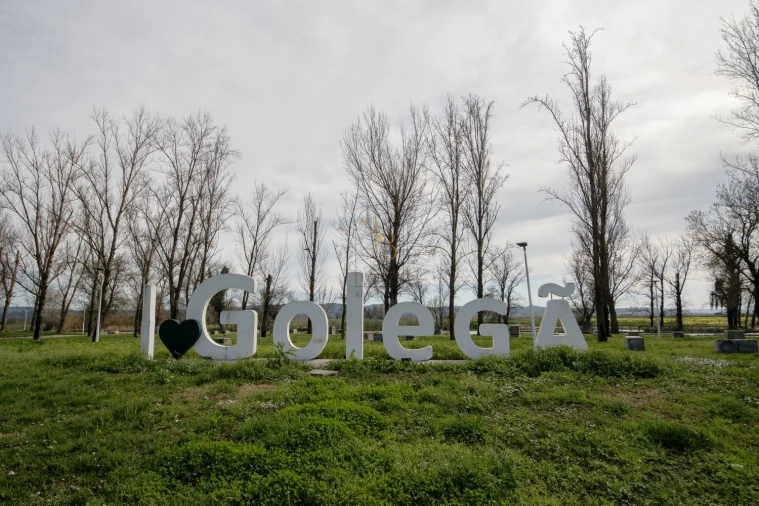 Apartamento T2 para Venda em Golegã Foto 23