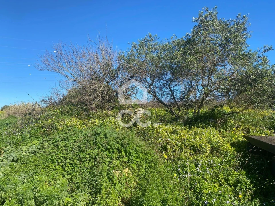 Terreno para Venda em Rio de Mouro Foto 9