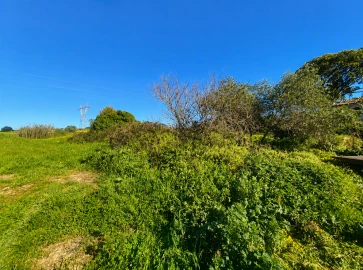 Terreno para Venda em Rio de Mouro