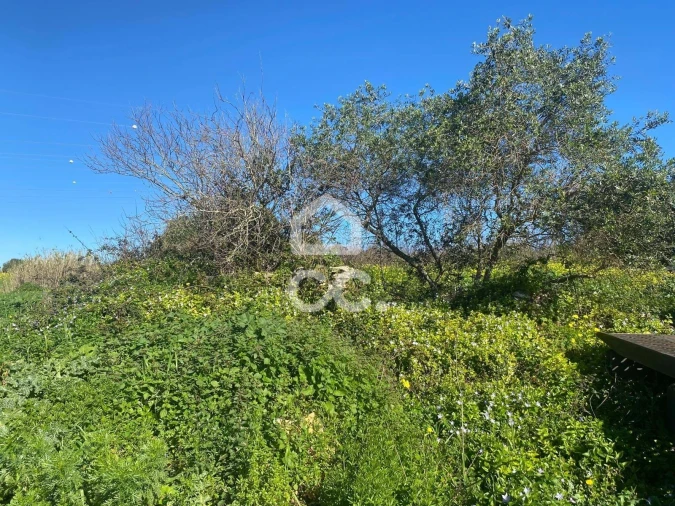 Terreno para Venda em Rio de Mouro Foto 9