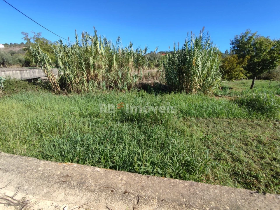 Terreno Agricola ou Rústico para Venda em Além da Ribeira e Pedreira Foto 4