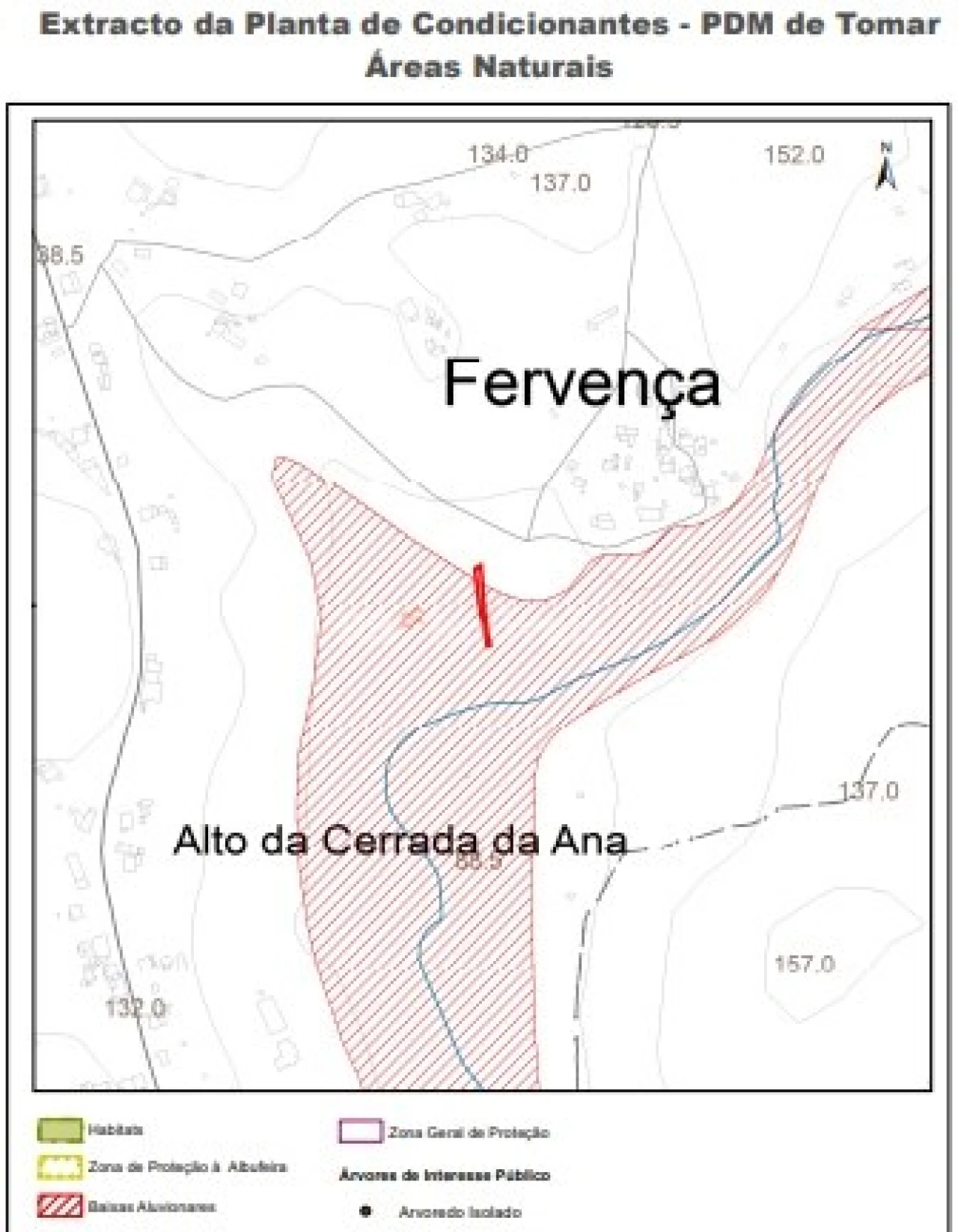 Terreno Agricola ou Rústico para Venda em Além da Ribeira e Pedreira Foto 16