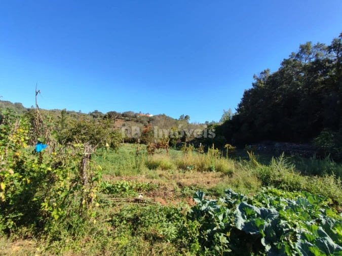 Terreno Agricola ou Rústico para Venda em Além da Ribeira e Pedreira Foto 3
