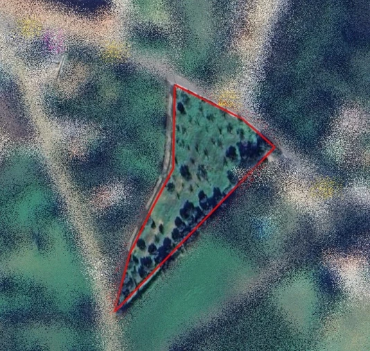Terreno para Venda em Conceição e Estoi Planta 1