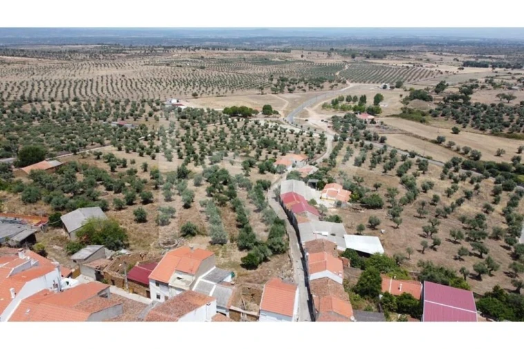 Armazém para Venda em Cebolais de Cima e Retaxo Foto 6
