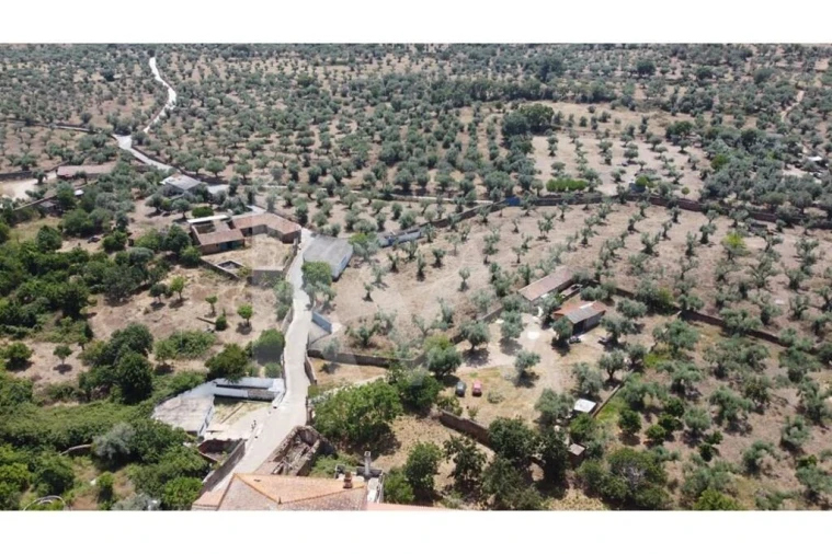 Armazém para Venda em Cebolais de Cima e Retaxo Foto 10
