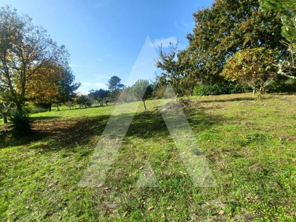 Quinta para Venda em São João de Lourosa Foto 3