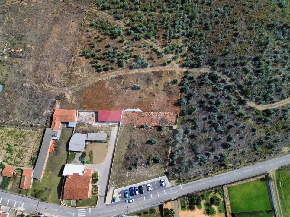Terreno Agricola ou Rústico para Venda em Branca Foto 3
