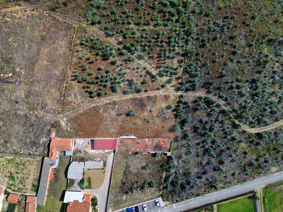 Terreno Agricola ou Rústico para Venda em Branca Foto 4