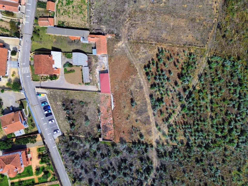 Terreno Agricola ou Rústico para Venda em Branca Foto 6
