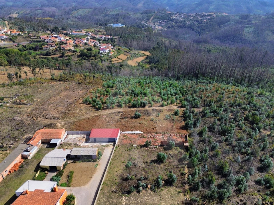 Terreno Agricola ou Rústico para Venda em Branca Foto 8