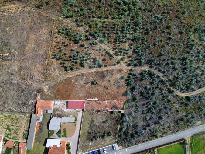 Terreno Agricola ou Rústico para Venda em Branca Foto 4
