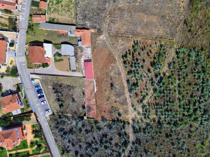 Terreno Agricola ou Rústico para Venda em Branca Foto 6