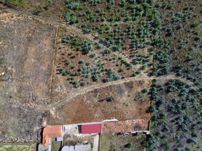 Terreno Agricola ou Rústico para Venda em Branca Foto 7