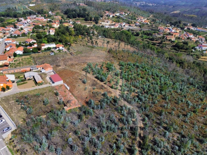 Terreno Agricola ou Rústico para Venda em Branca Foto 1