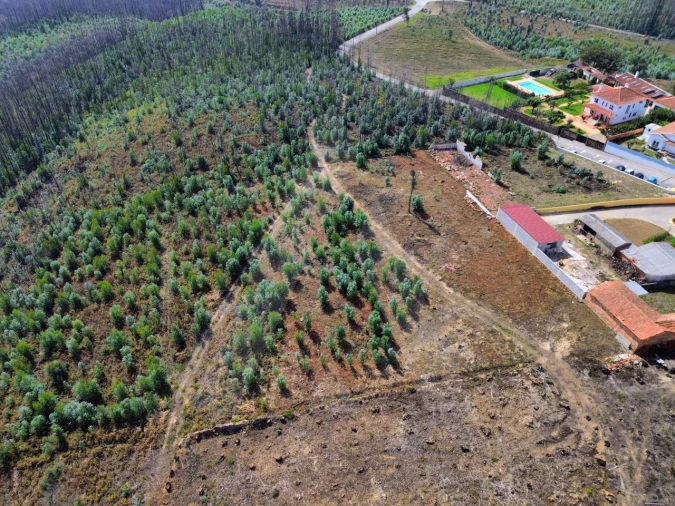 Terreno Agricola ou Rústico para Venda em Branca Foto 9