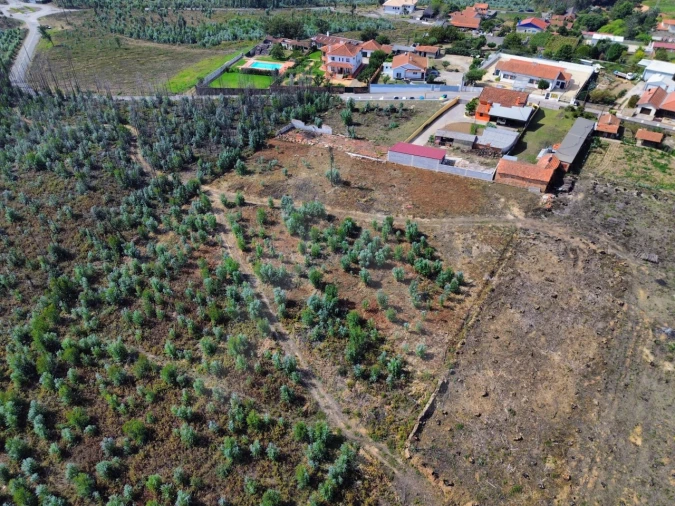 Terreno Agricola ou Rústico para Venda em Branca Foto 11