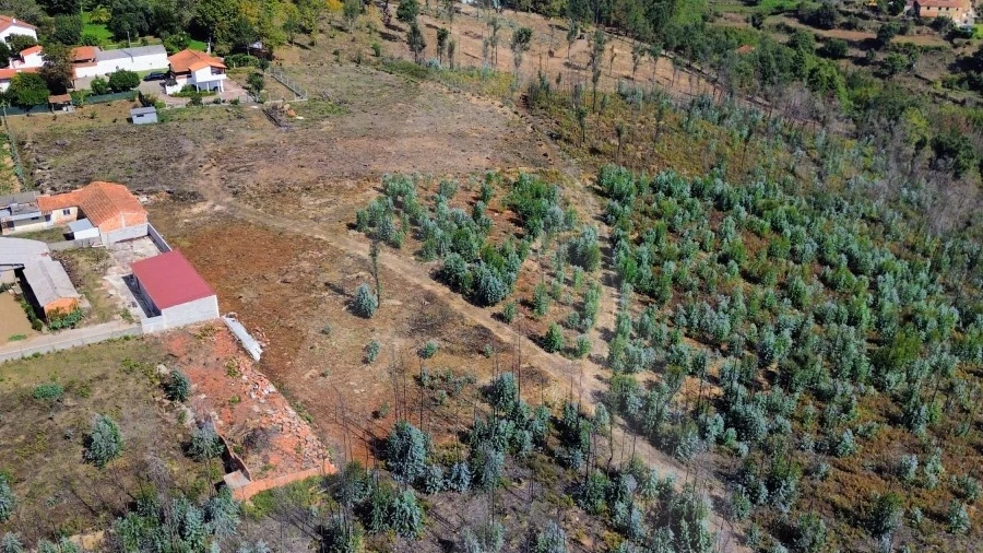Terreno Agricola ou Rústico para Venda em Branca