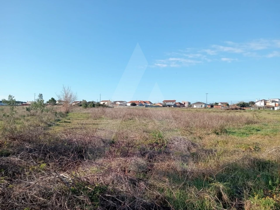 Terreno Agricola ou Rústico para Venda em Calvão Foto 5