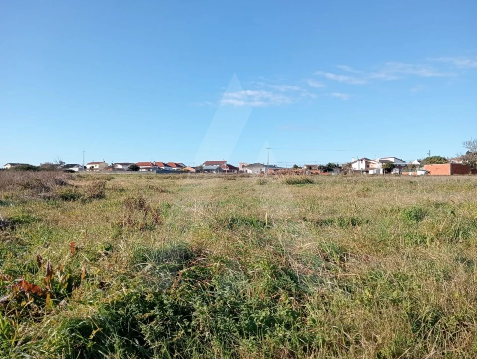 Terreno Agricola ou Rústico para Venda em Calvão Foto 8