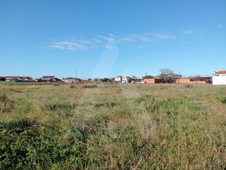 Terreno Agricola ou Rústico para Venda em Calvão Foto 11