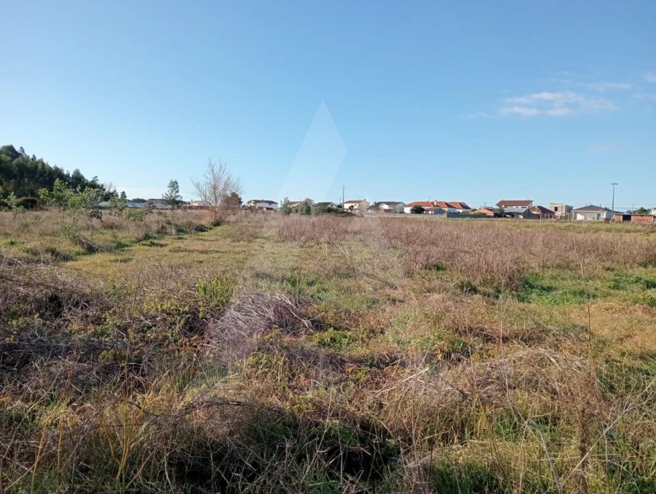 Terreno Agricola ou Rústico para Venda em Calvão Foto 12