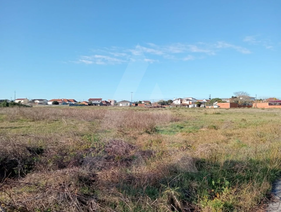 Terreno Agricola ou Rústico para Venda em Calvão Foto 13