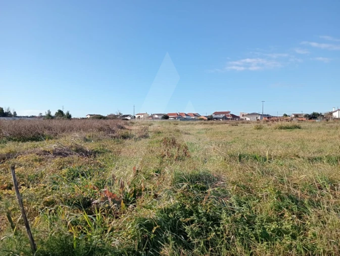 Terreno Agricola ou Rústico para Venda em Calvão Foto 4