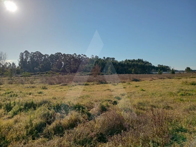Terreno Agricola ou Rústico para Venda em Calvão Foto 6