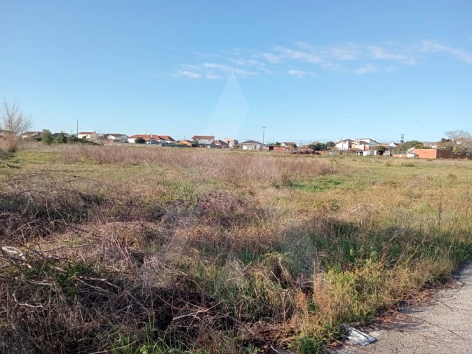 Terreno Agricola ou Rústico para Venda em Calvão Foto 9