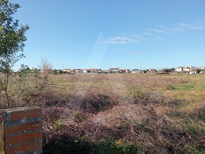 Terreno Agricola ou Rústico para Venda em Calvão Foto 10