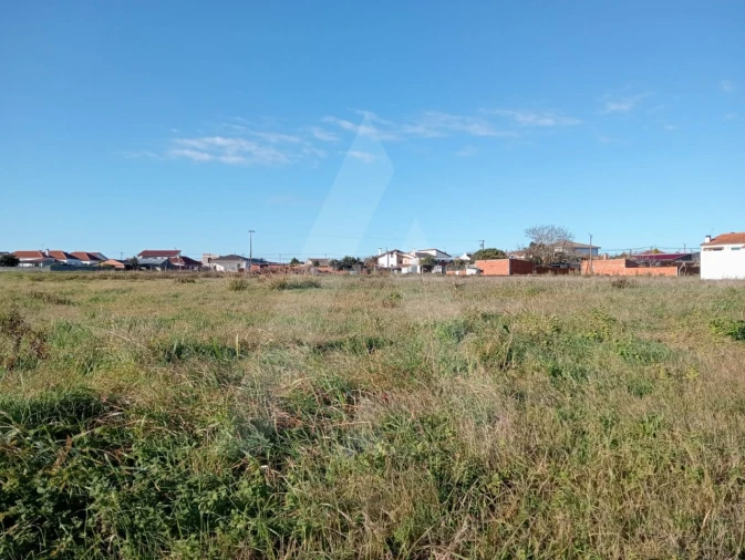 Terreno Agricola ou Rústico para Venda em Calvão Foto 11