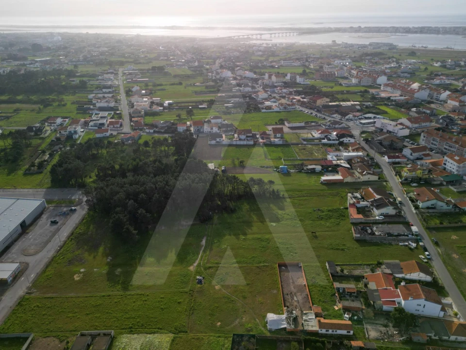 Terreno para Venda em Gafanha da Nazaré Foto 7