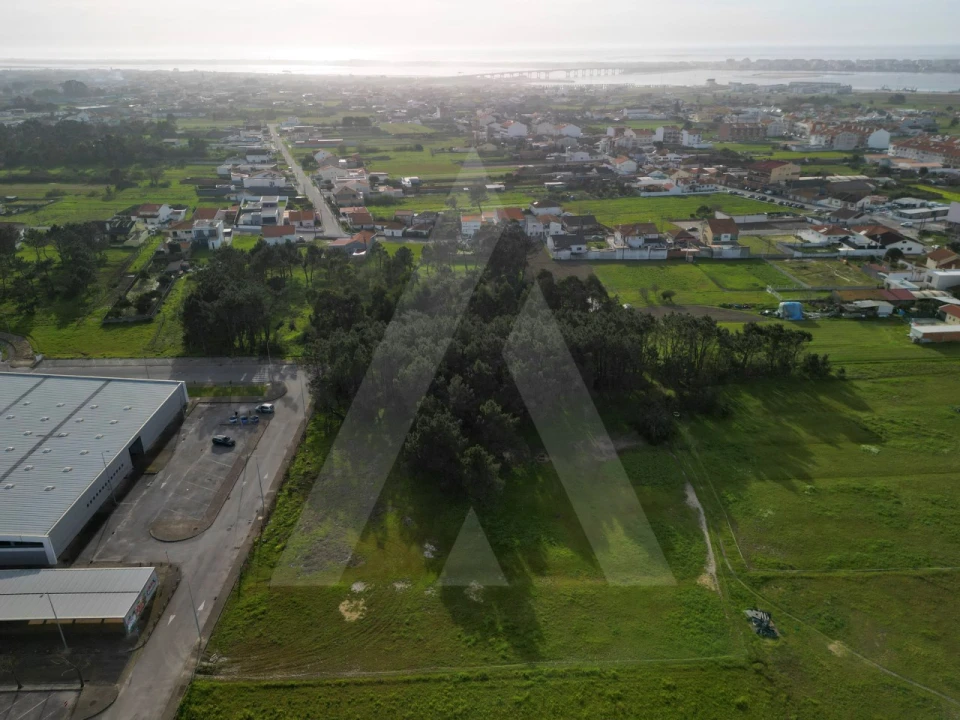 Terreno para Venda em Gafanha da Nazaré Foto 6