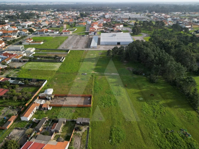 Terreno para Venda em Gafanha da Nazaré Foto 5